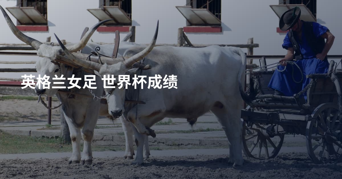 英格兰女足 世界杯成绩