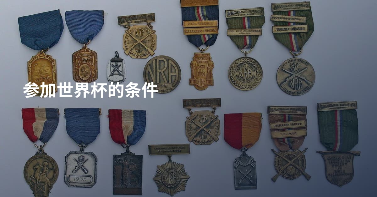 参加世界杯的条件