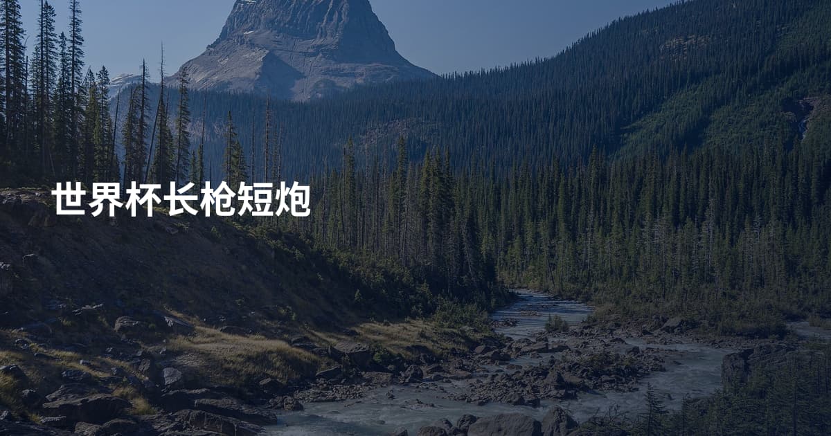 世界杯长枪短炮