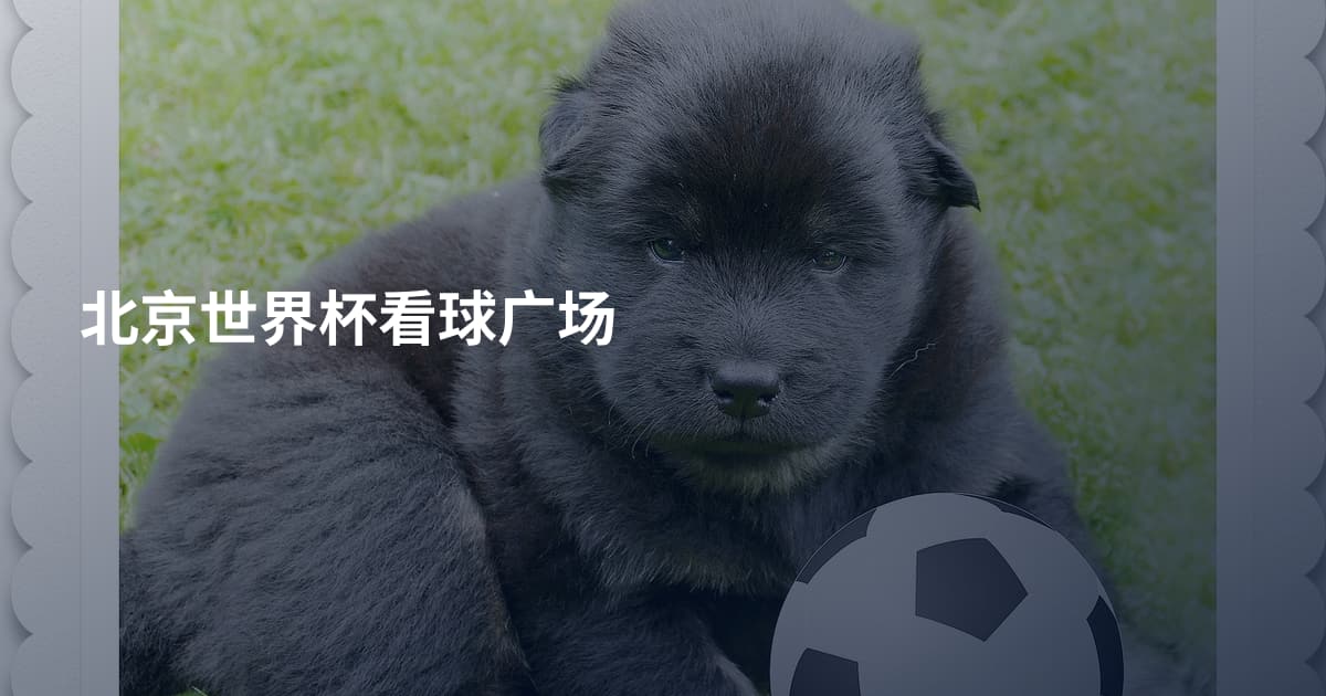 北京世界杯看球广场