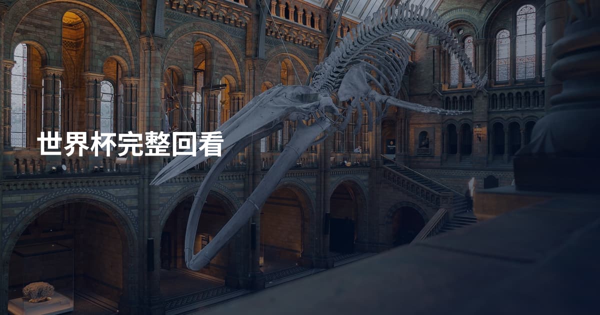 世界杯完整回看