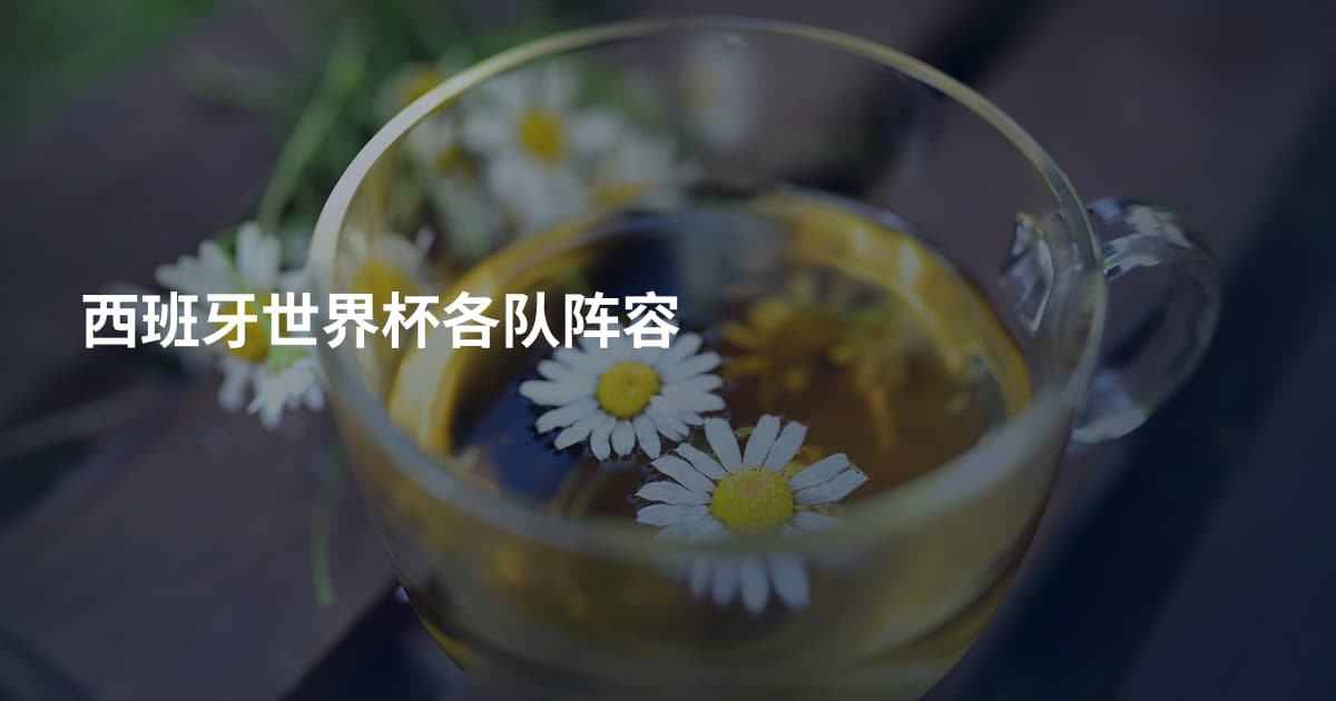 西班牙世界杯各队阵容