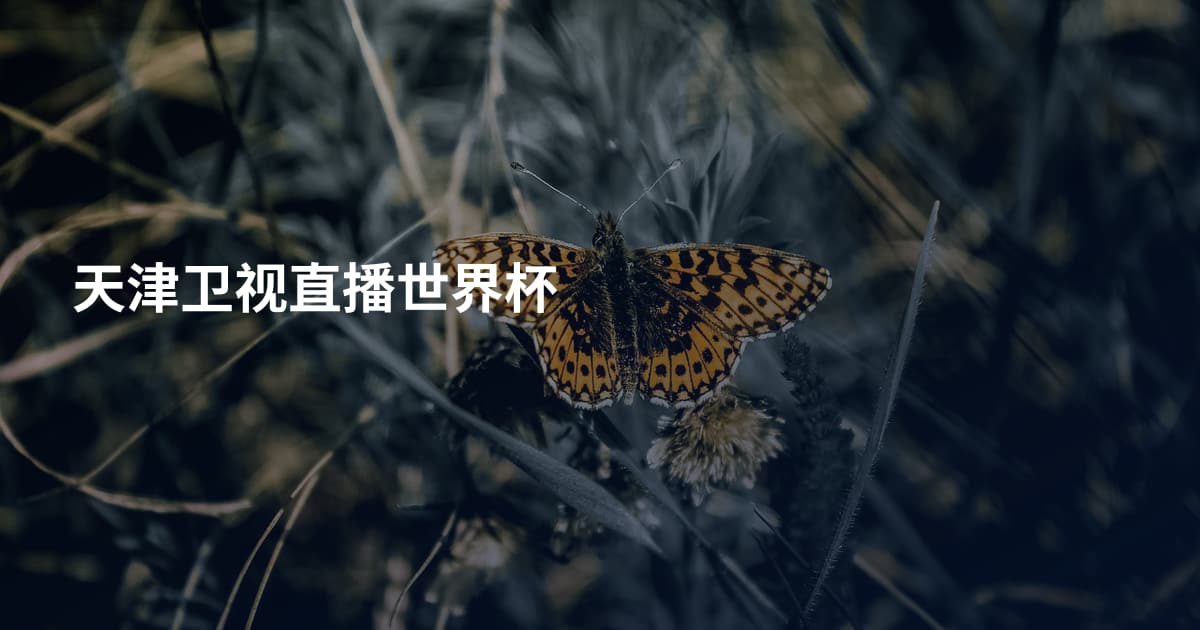 天津卫视直播世界杯