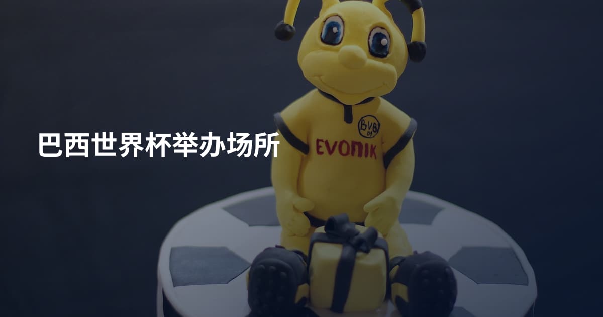 巴西世界杯举办场所