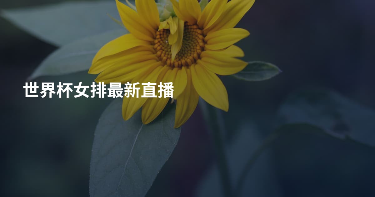 世界杯女排最新直播