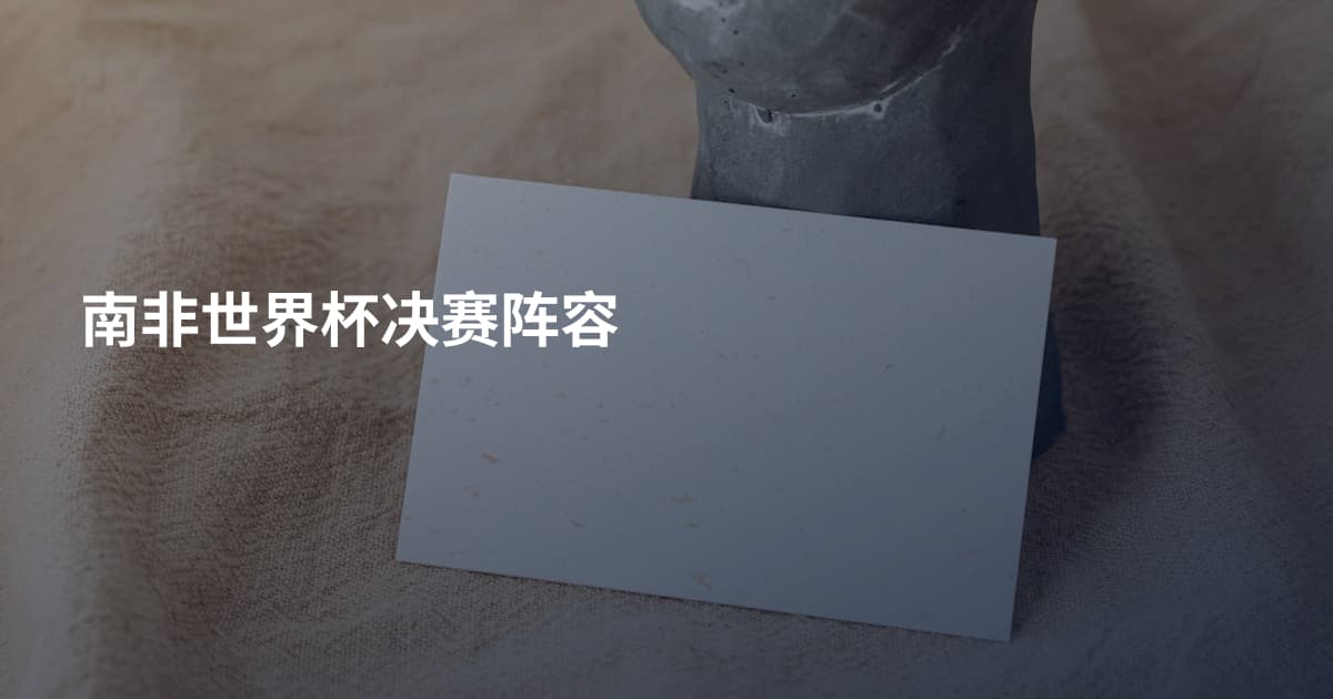 南非世界杯决赛阵容