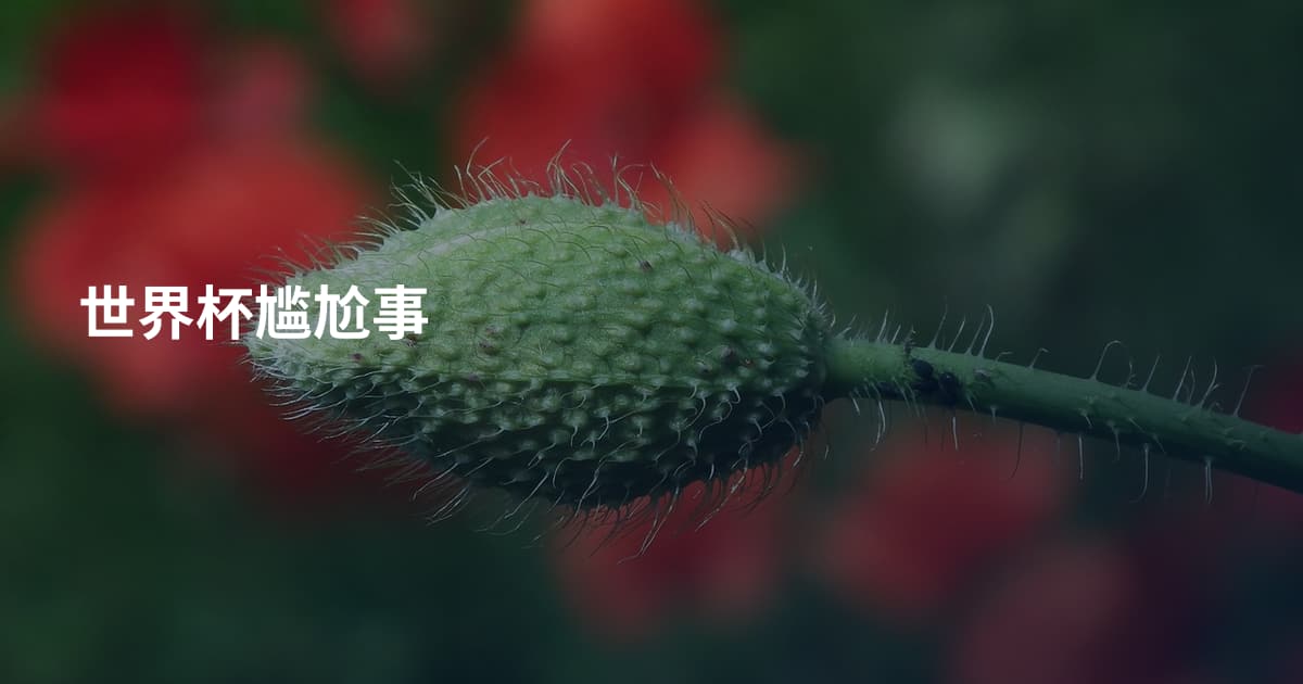 世界杯尴尬事