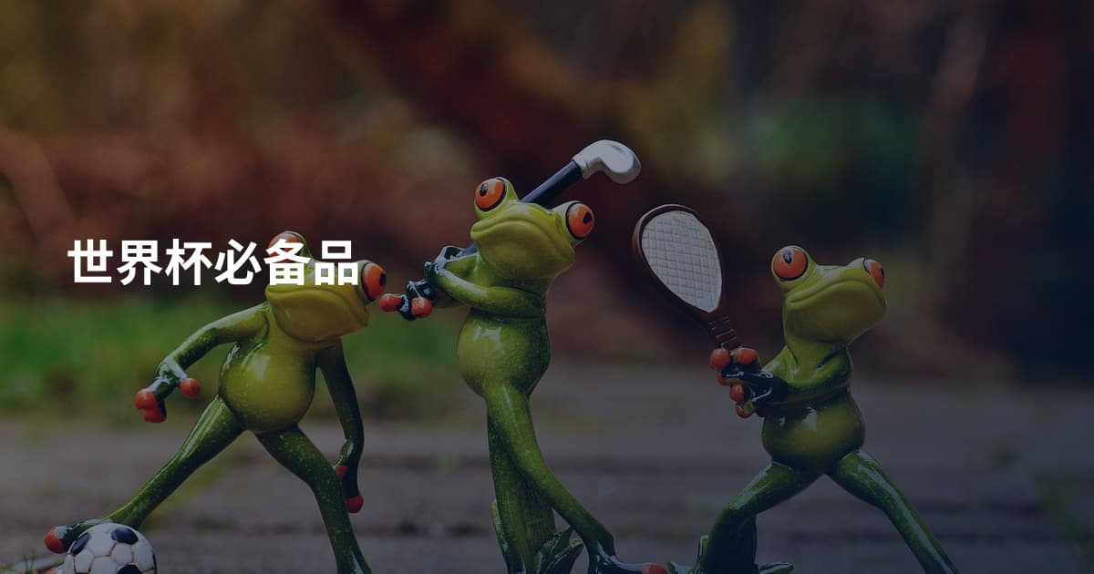 世界杯必备品