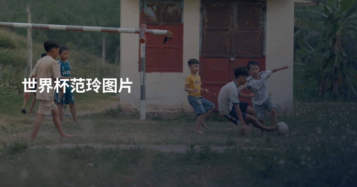 世界杯范玲图片