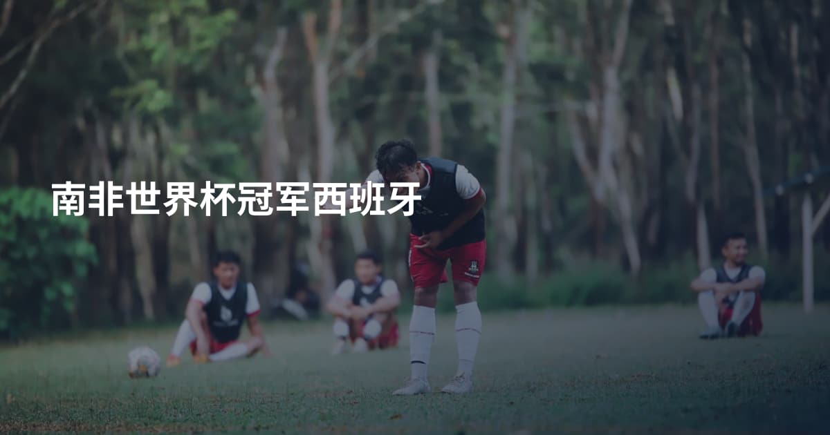南非世界杯冠军西班牙
