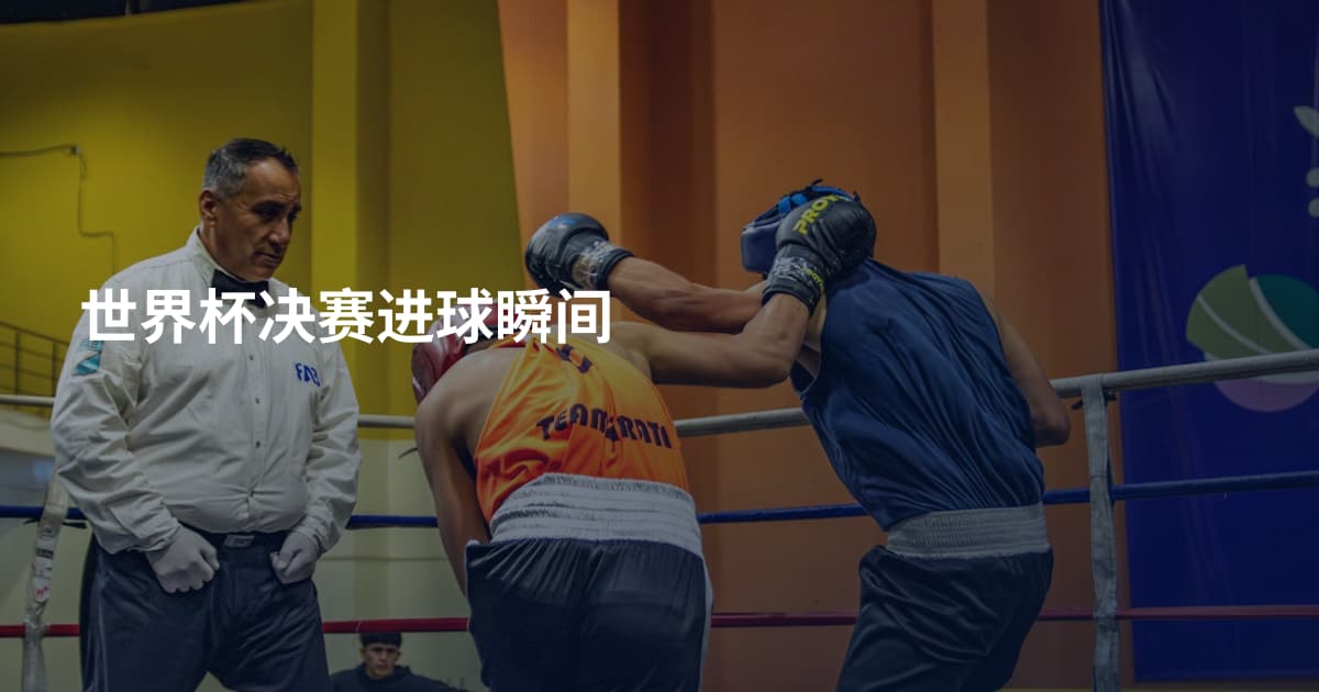世界杯决赛进球瞬间