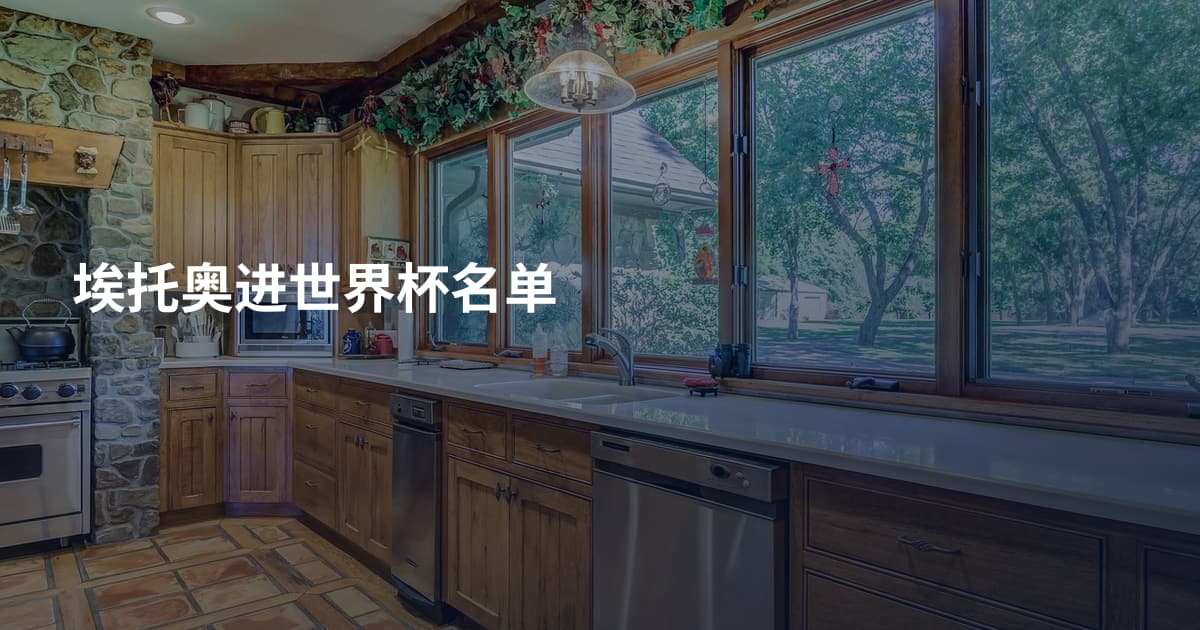埃托奥进世界杯名单