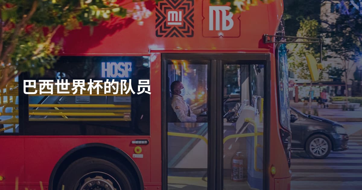 巴西世界杯的队员