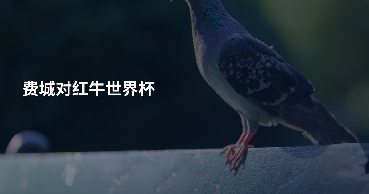 费城对红牛世界杯