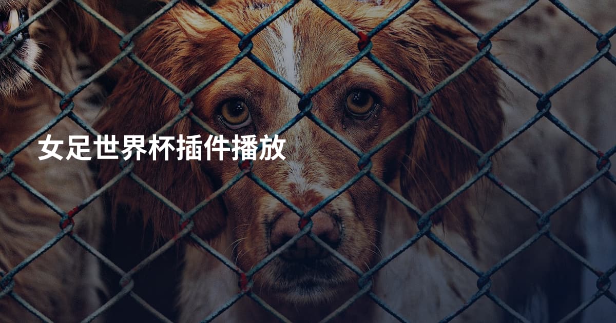 女足世界杯插件播放