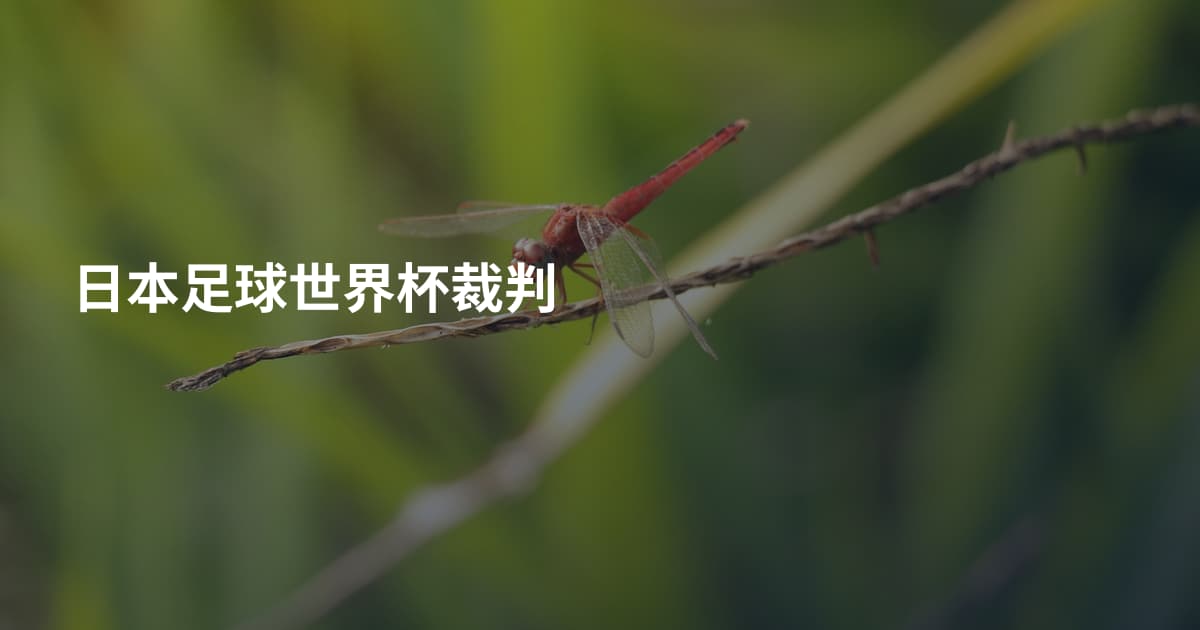 日本足球世界杯裁判