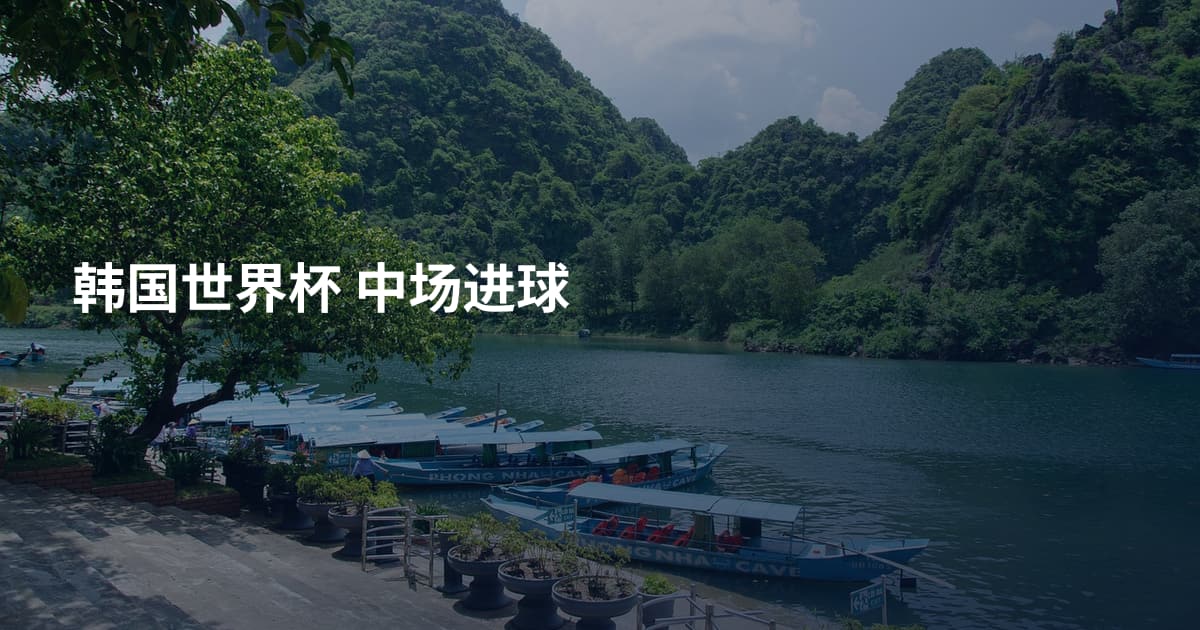 韩国世界杯 中场进球