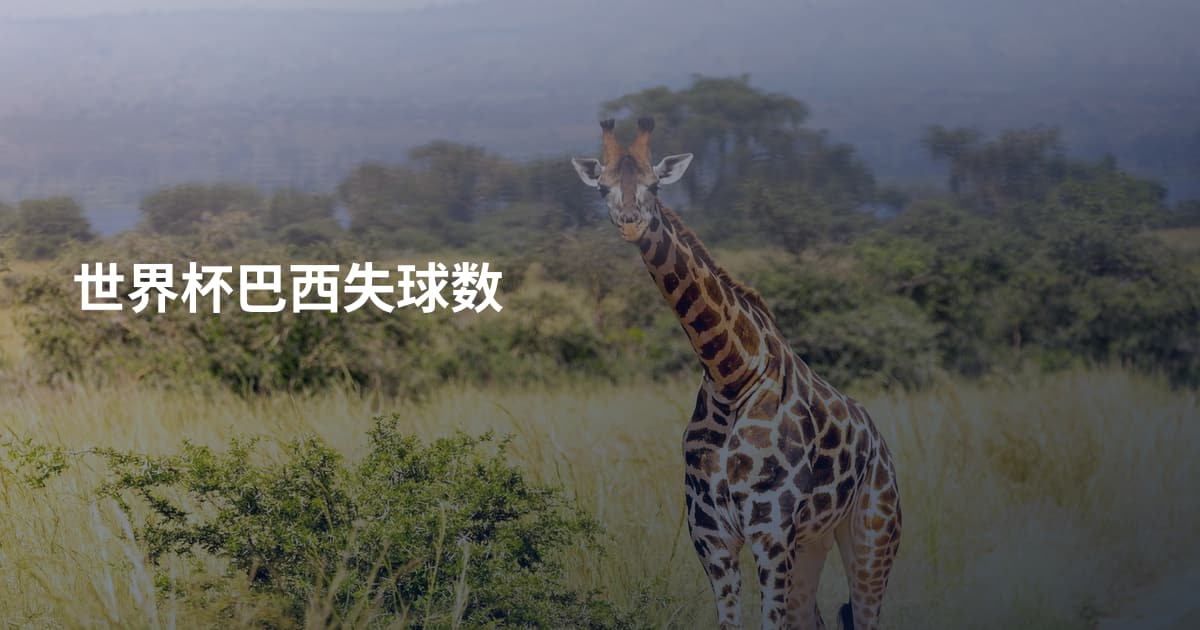 世界杯巴西失球数