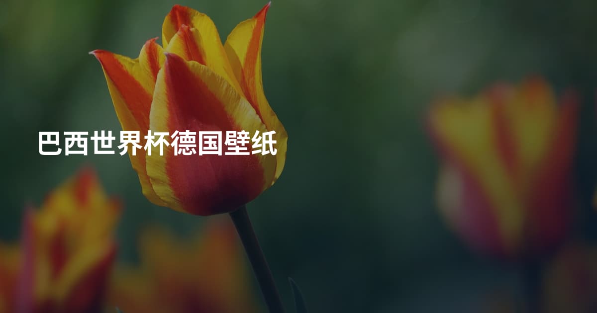 巴西世界杯德国壁纸