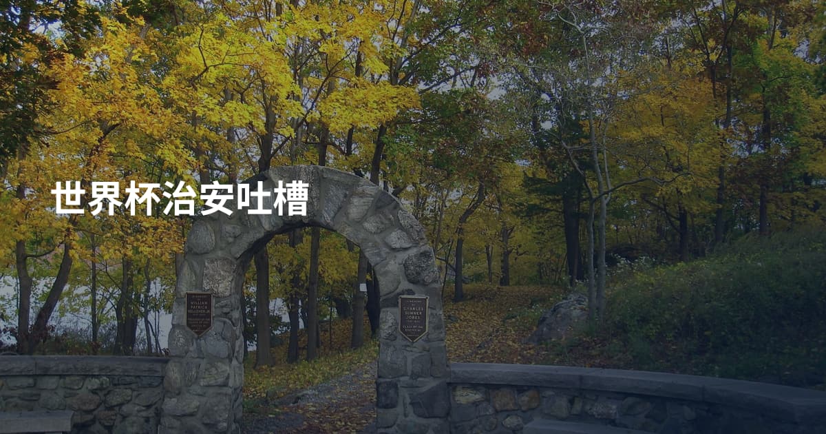 世界杯治安吐槽