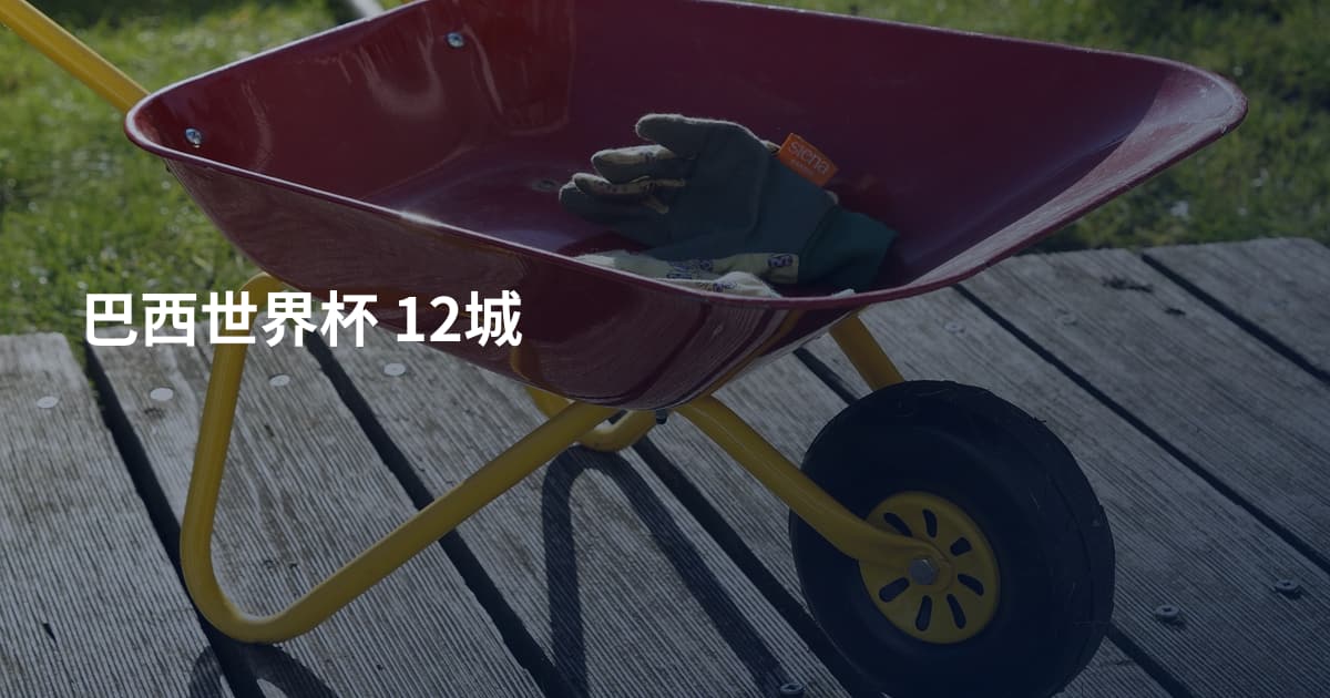 巴西世界杯 12城