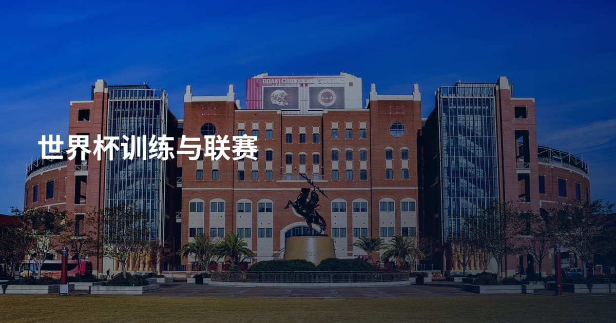 世界杯训练与联赛