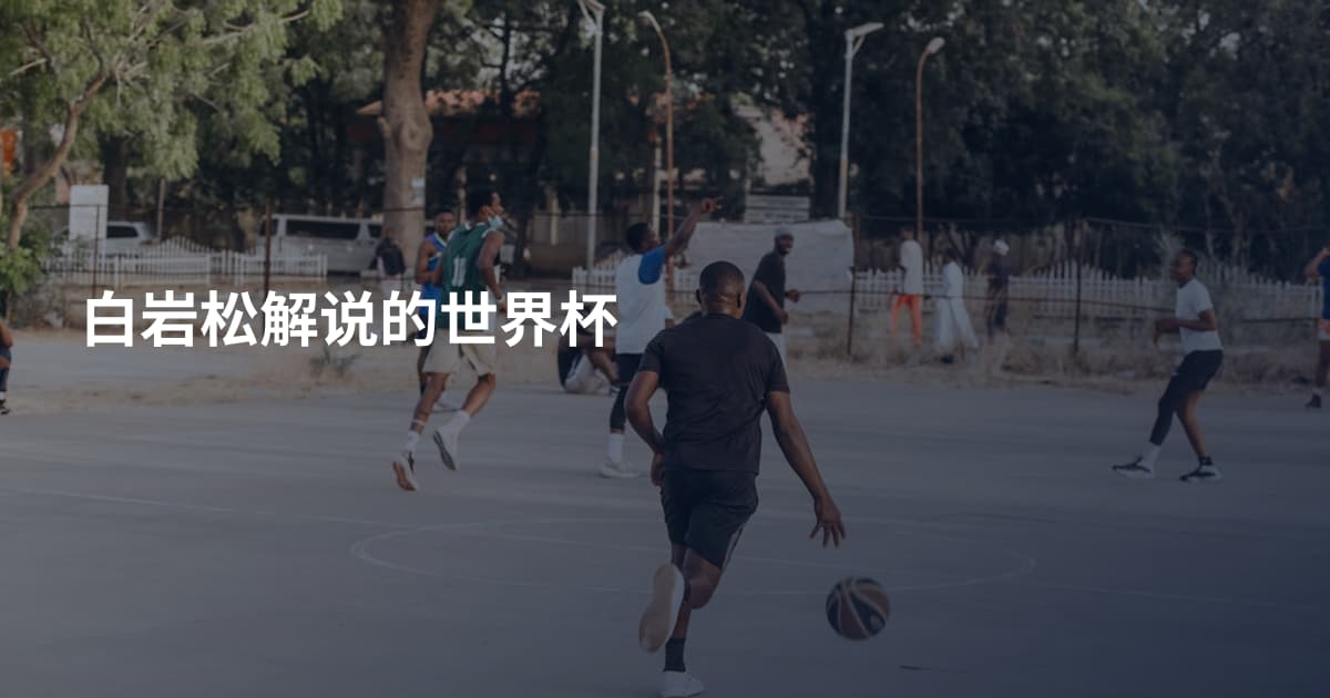 白岩松解说的世界杯
