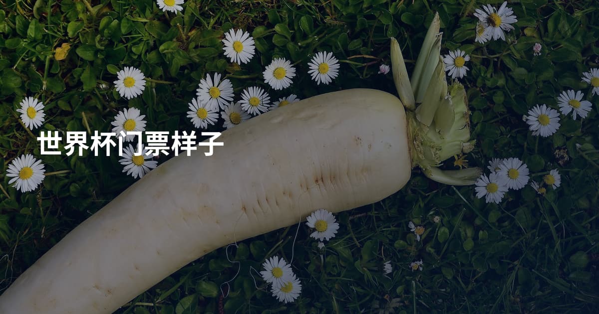 世界杯门票样子