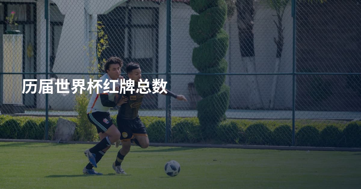 历届世界杯红牌总数