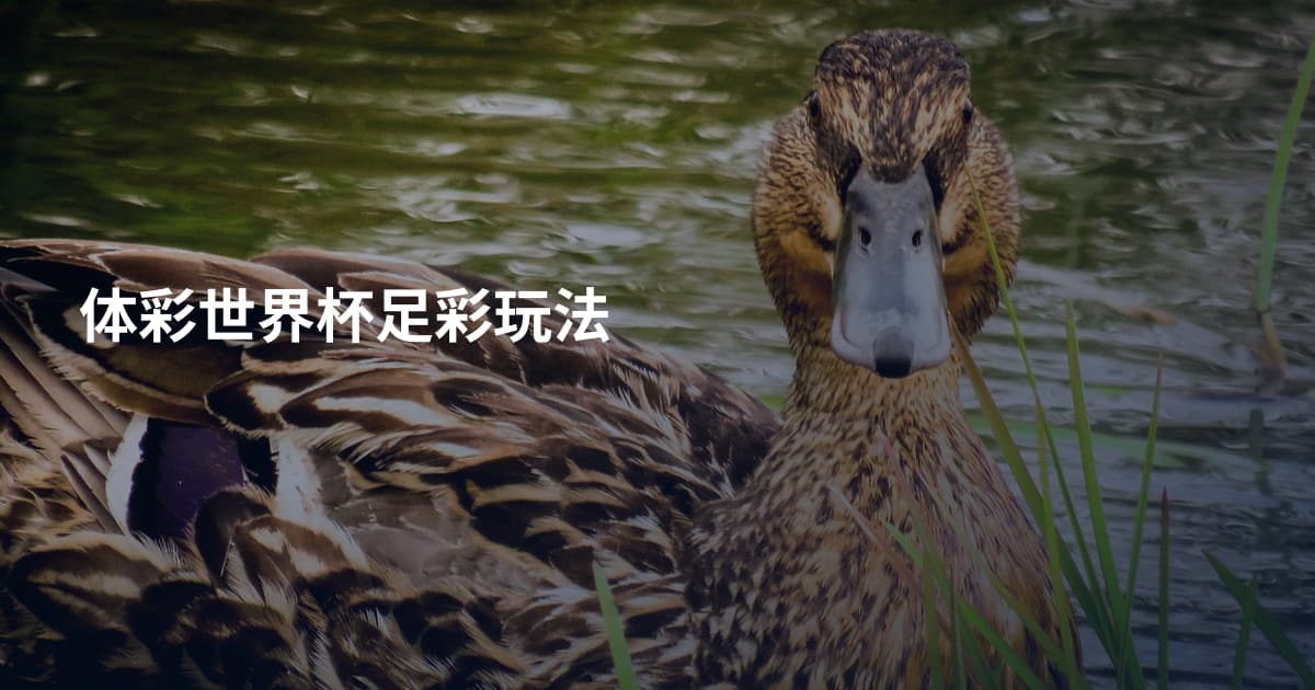 体彩世界杯足彩玩法