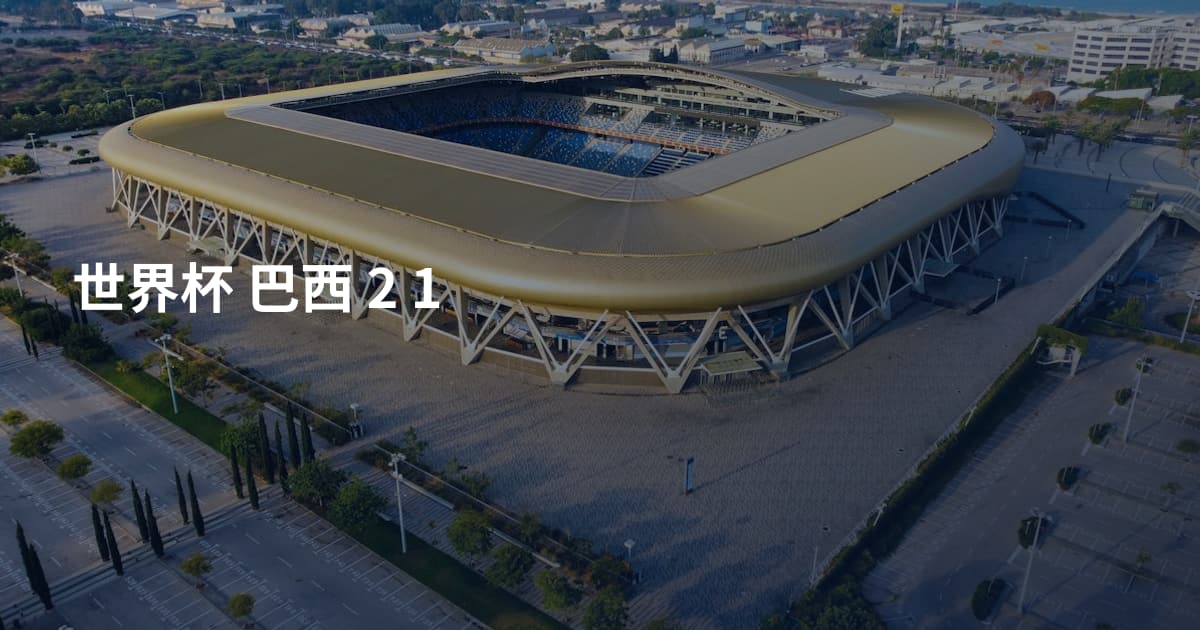世界杯 巴西 2 1