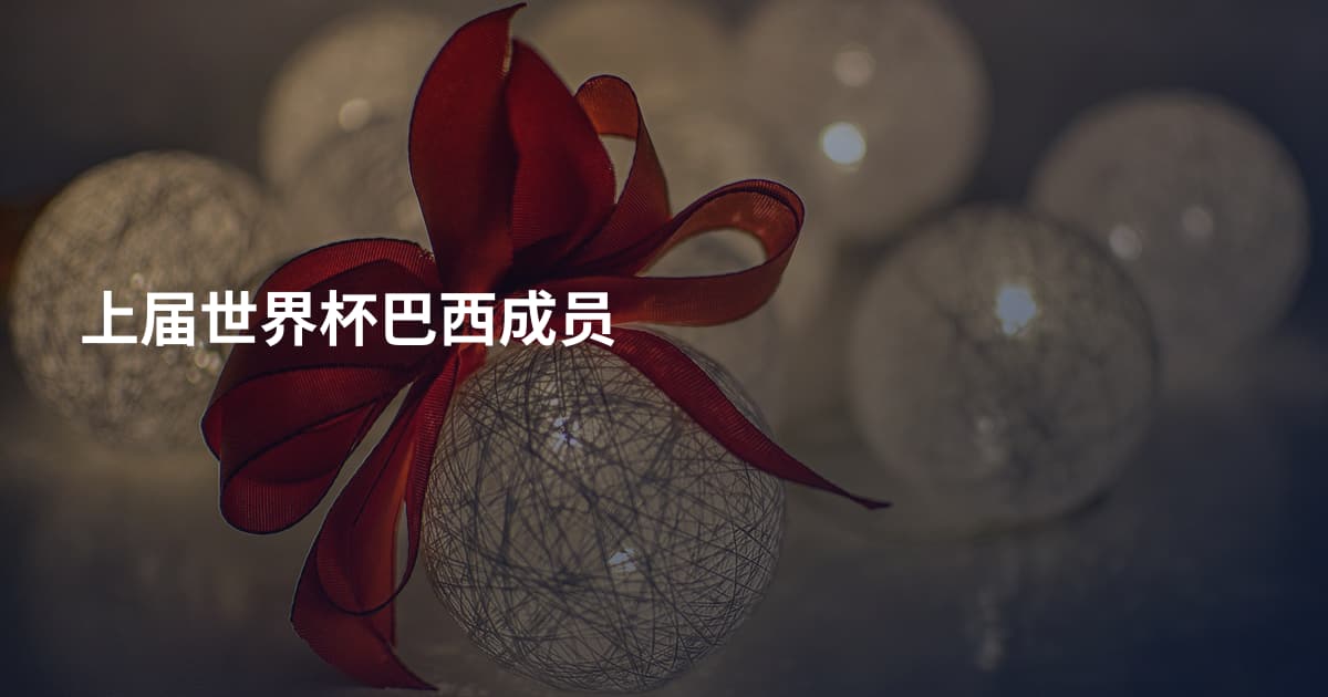 上届世界杯巴西成员