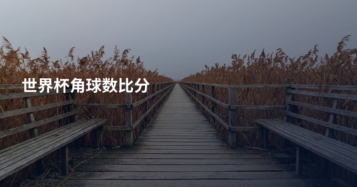 世界杯角球数比分