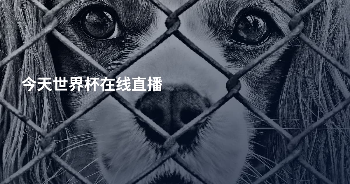 今天世界杯在线直播
