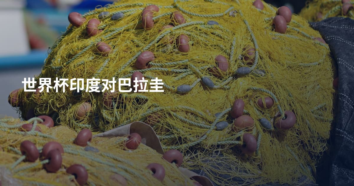 世界杯印度对巴拉圭
