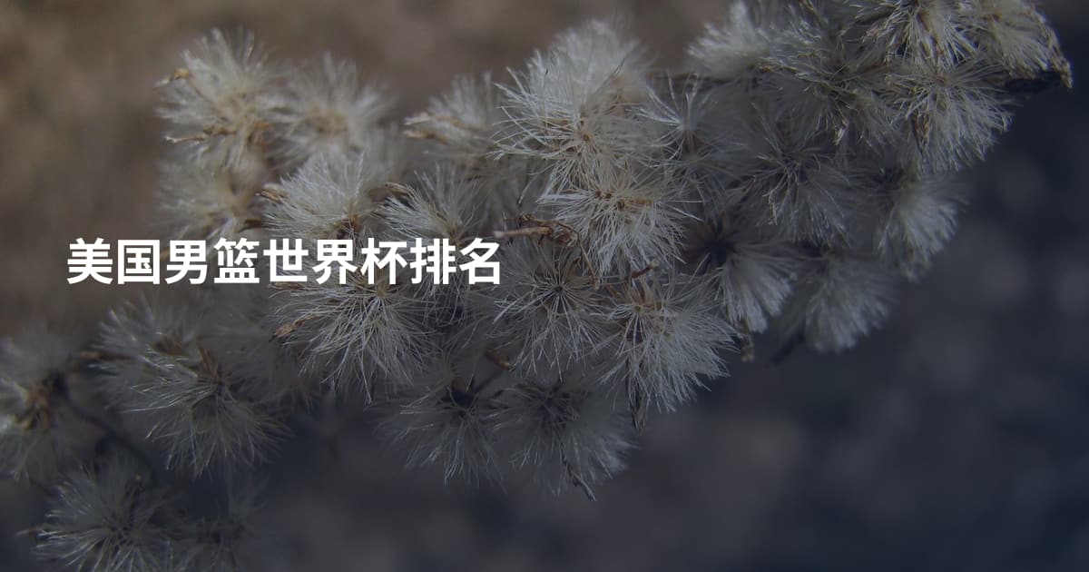 美国男篮世界杯排名