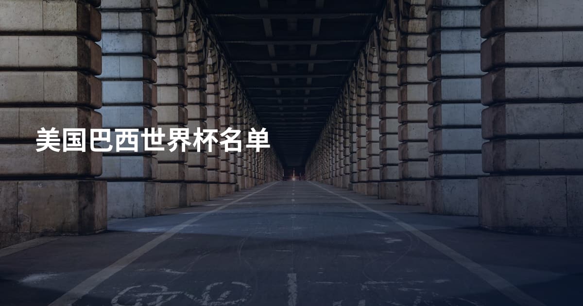 美国巴西世界杯名单