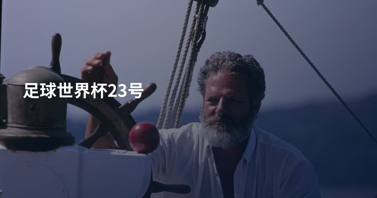 足球世界杯23号
