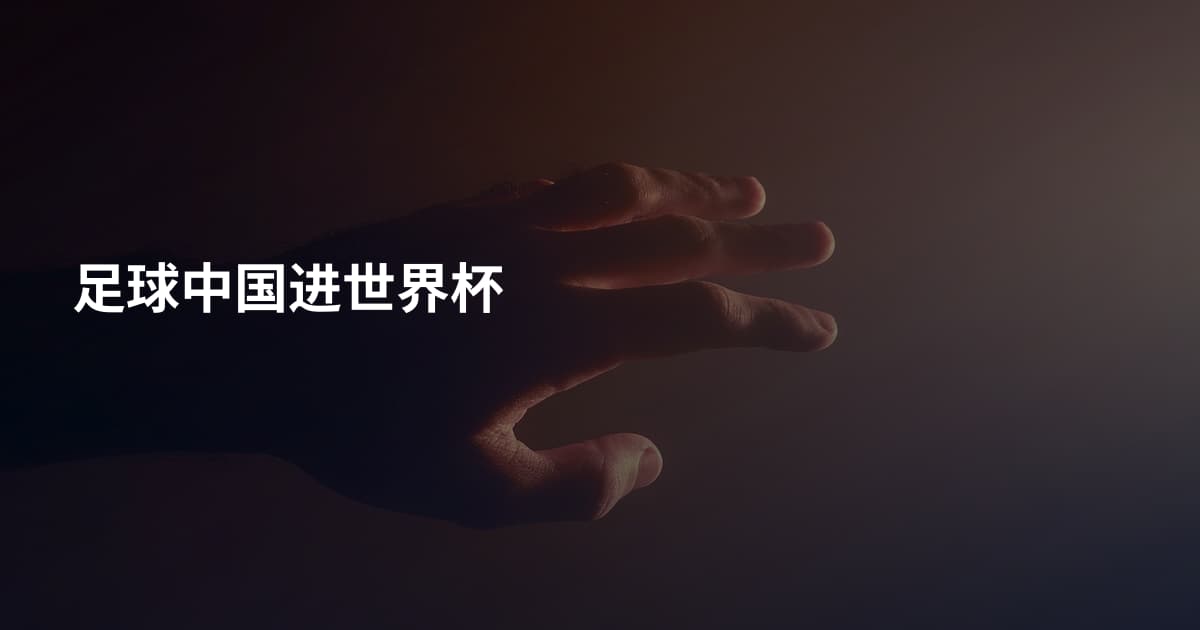 足球中国进世界杯