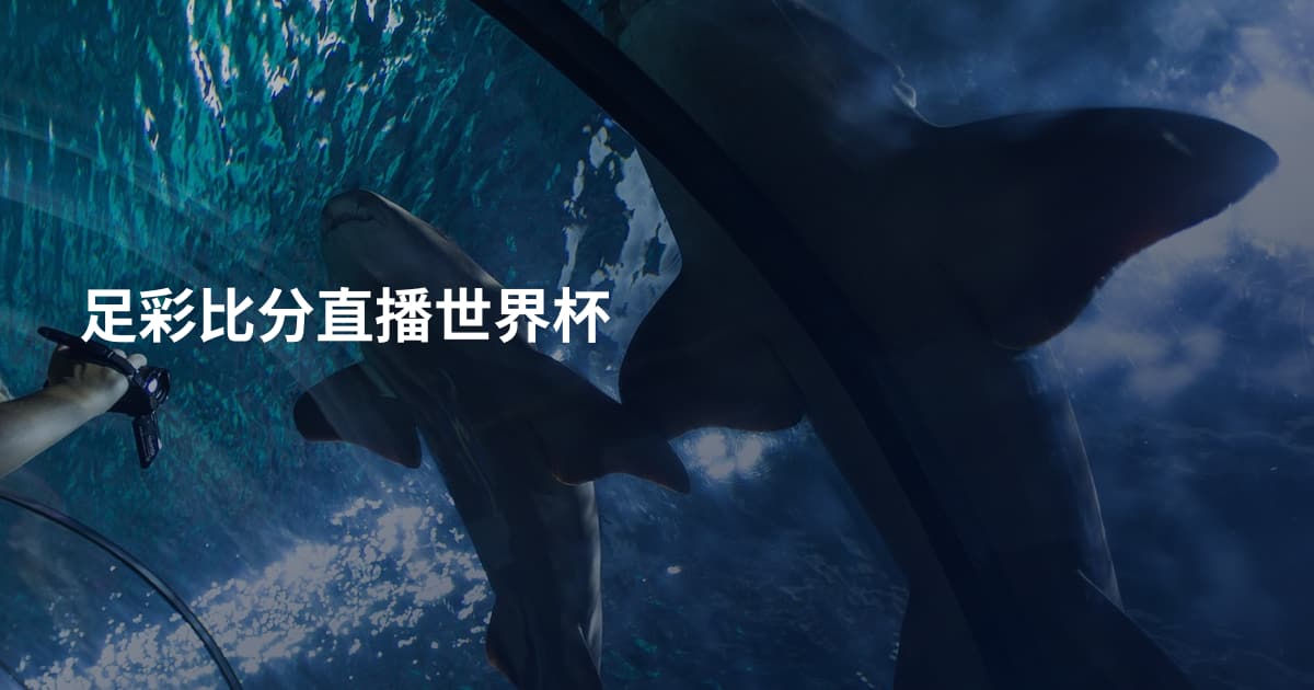 足彩比分直播世界杯