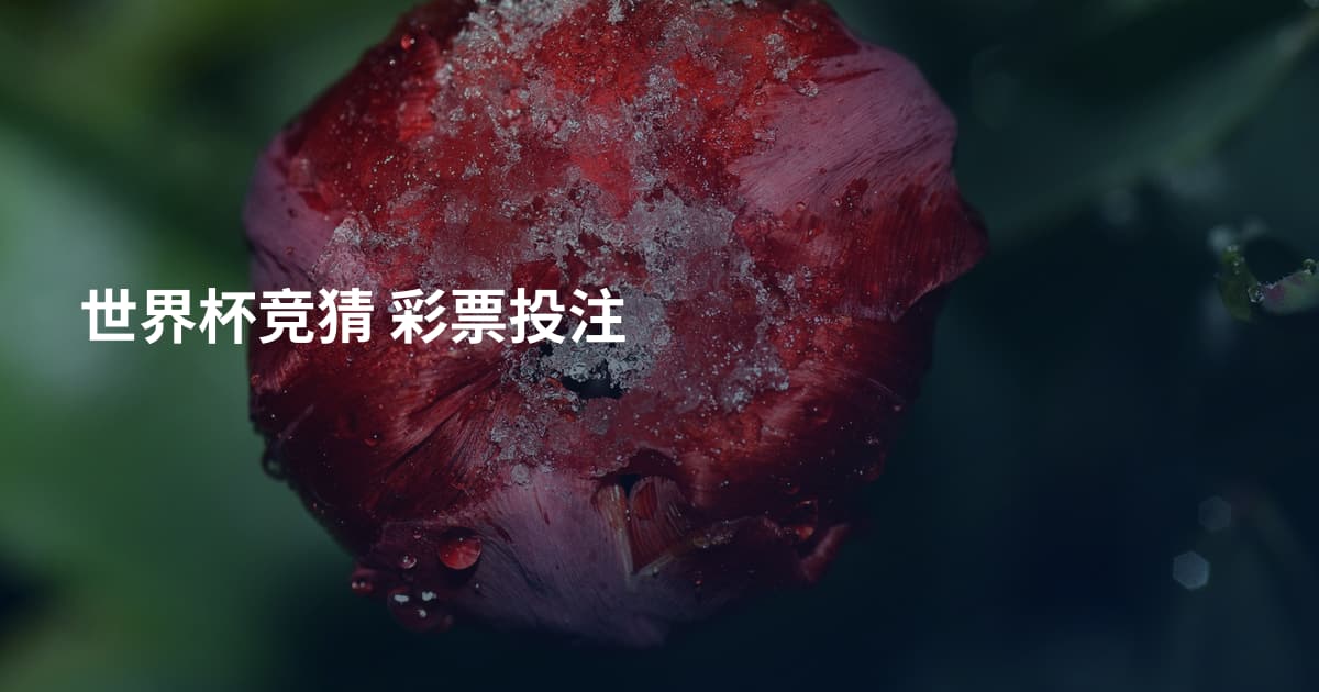 世界杯竞猜 彩票投注