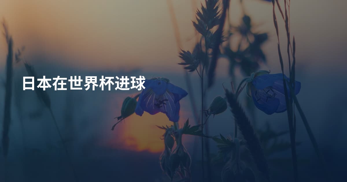 日本在世界杯进球
