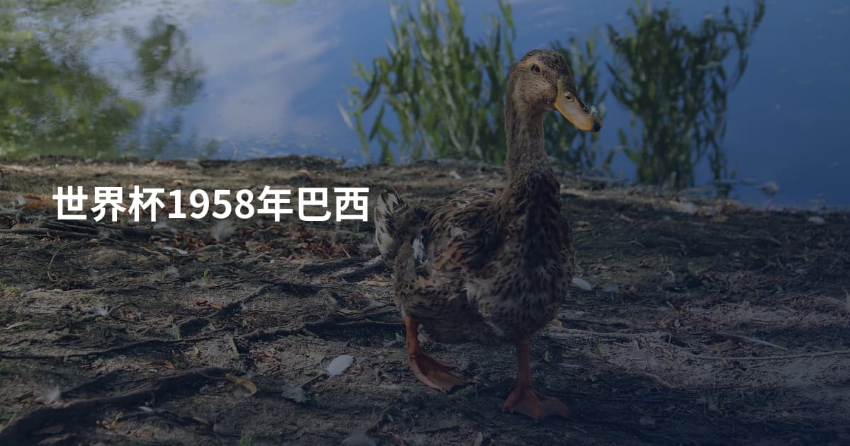 世界杯1958年巴西