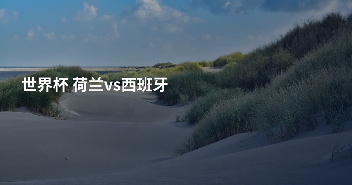 世界杯 荷兰vs西班牙