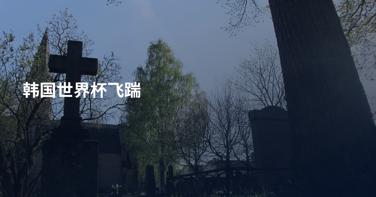 韩国世界杯飞踹