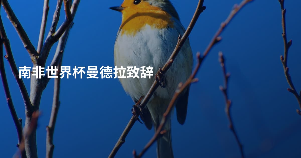 南非世界杯曼德拉致辞