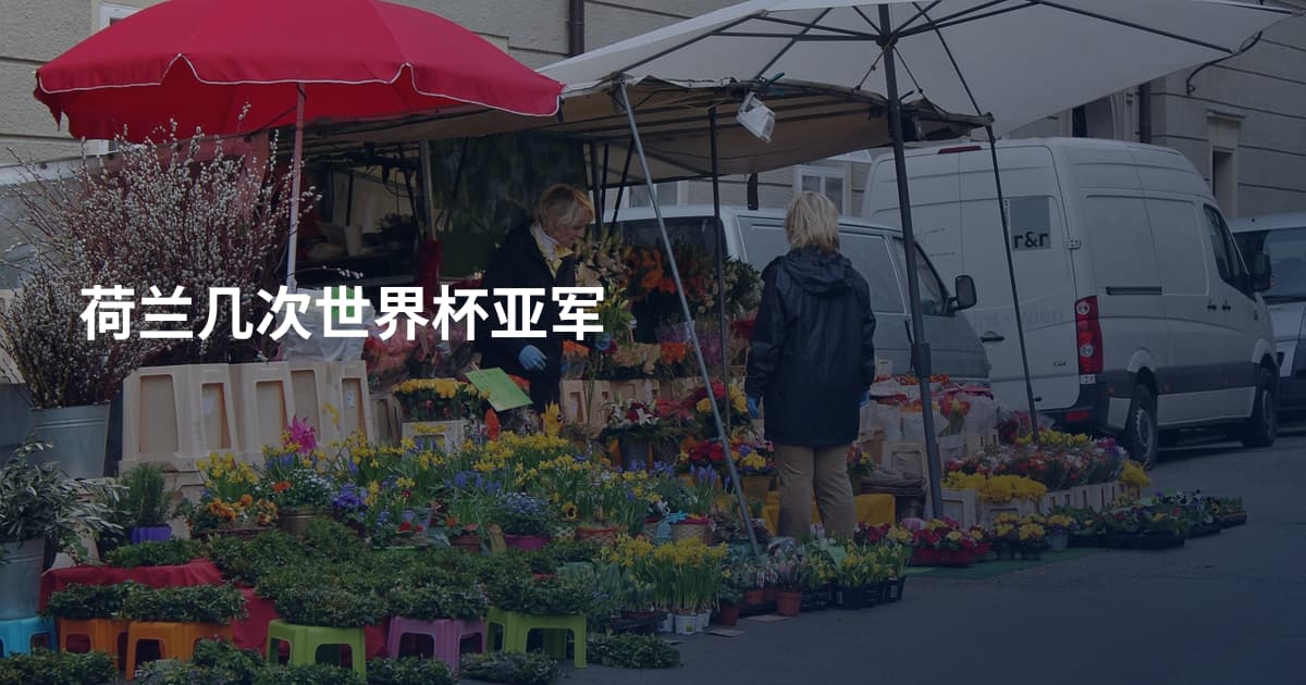荷兰几次世界杯亚军
