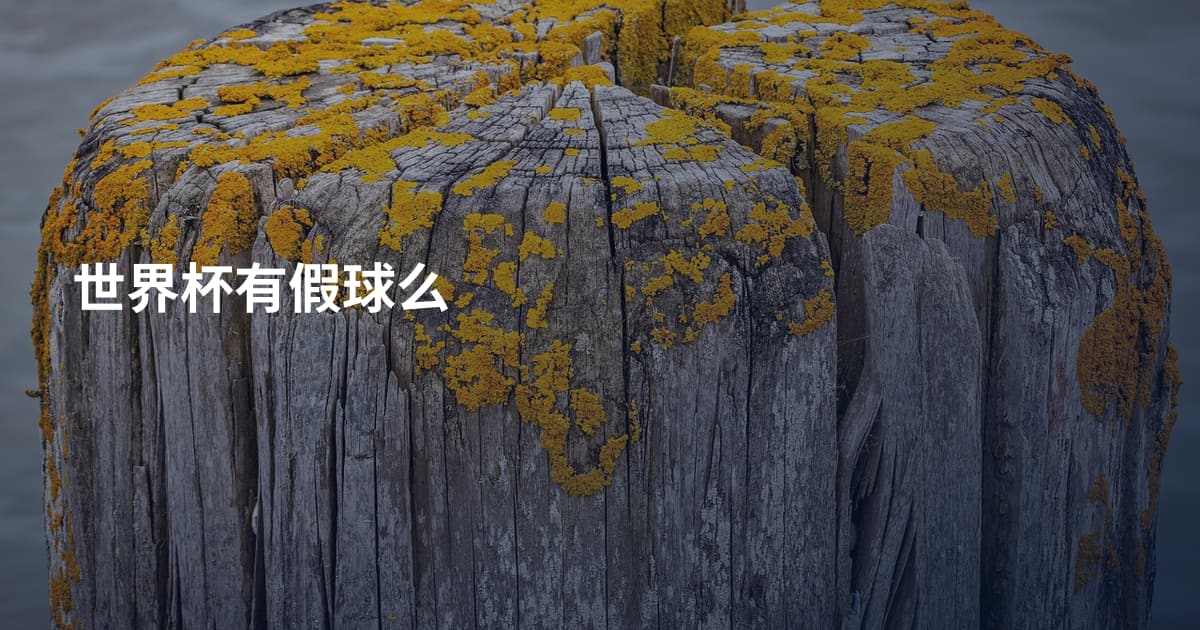 世界杯有假球么