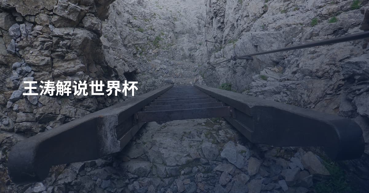 王涛解说世界杯