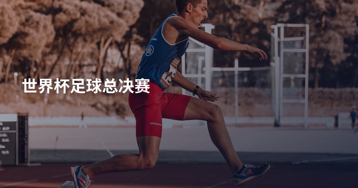 世界杯足球总决赛
